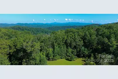 262 Rooster Cove, Brevard, NC 28712 - Photo 38