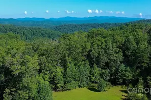 262 Rooster Cv, Brevard, NC 28712 - Photo 38