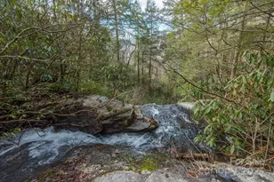 1795 McKenzie Way N, Old Fort, NC 28762 - Photo 40