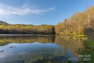 1795 McKenzie Way N, Old Fort, NC 28762 - Photo 32