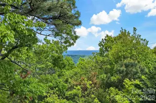 1795 McKenzie Way N, Old Fort, NC 28762 - Photo 32