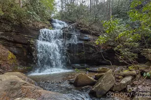 1795 McKenzie Way N, Old Fort, NC 28762 - Photo 42