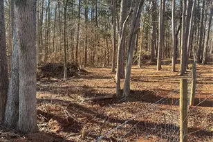 15 009 Acres Archer Rd, Davidson, NC 28036 - Photo 10