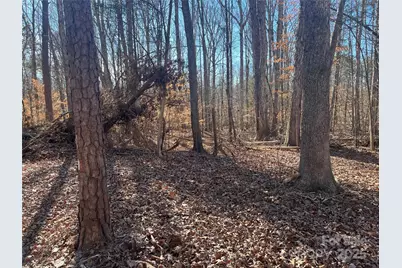 15.009 Acres Archer Road, Davidson, NC 28036 - Photo 12