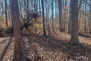 15 009 Acres Archer Rd, Davidson, NC 28036 - Photo 12