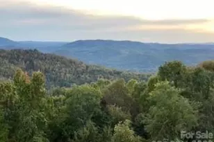 1403 Fleetwood Plaza, Hendersonville, NC 28739 - Photo 4