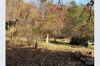 276 Cedar Creek Road, Black Mountain, NC 28711 - Photo 20