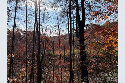 276 Cedar Creek Road, Black Mountain, NC 28711 - Photo 8