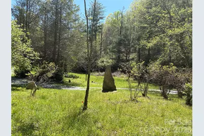 276 Cedar Creek Road, Black Mountain, NC 28711 - Photo 1