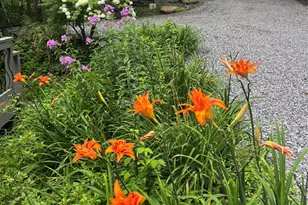 620 Glenview Rd, Newland, NC 28657 - Photo 40