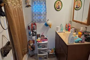 17 Shena Dr, Waynesville, NC 28785 - Photo 6