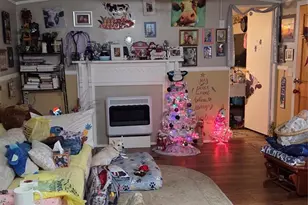 17 Shena Dr, Waynesville, NC 28785 - Photo 4