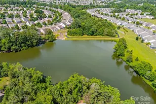 22125 E Tern Ct, Indian Land, SC 29707 - Photo 14