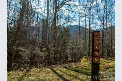 112 Moon Shadow Lane, Marshall, NC 28753 - Photo 46