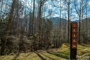 112 Moon Shadow Ln, Marshall, NC 28753 - Photo 46