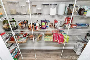 15333 Braid Mdw Dr, Charlotte, NC 28278 - Photo 8