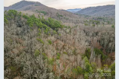 380 Buttercup Lane, Marion, NC 28752 - Photo 22