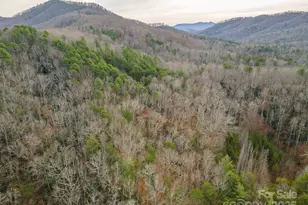 380 Buttercup Ln, Marion, NC 28752 - Photo 22