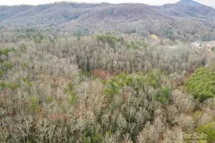 380 Buttercup Ln, Marion, NC 28752 - Photo 20