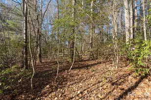 128 Camellia Way, Hendersonville, NC 28739 - Photo 34