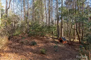 128 Camellia Way, Laurel Park, NC 28739 - Photo 32