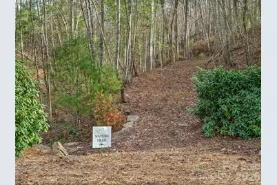 10 Villa Nova Drive, Asheville, NC 28804 - Photo 34