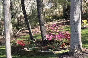 17 Morris Dr, Weaverville, NC 28787 - Photo 10