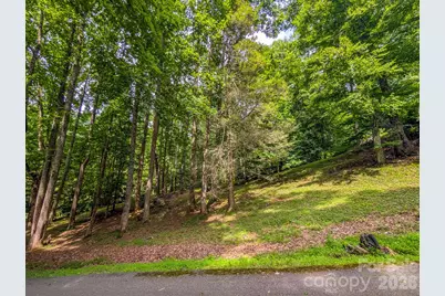 1372 Lickskillet Road, Burnsville, NC 28714 - Photo 42