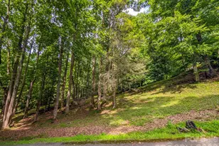 1372 Lickskillet Rd, Burnsville, NC 28714 - Photo 42