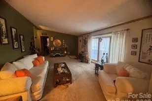 1372 Lickskillet Rd, Burnsville, NC 28714 - Photo 20