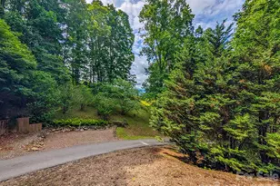 1372 Lickskillet Rd, Burnsville, NC 28714 - Photo 36