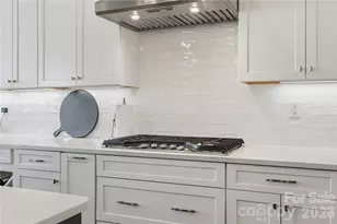 12035 Cove Ct, Charlotte, NC 28278 - Photo 14