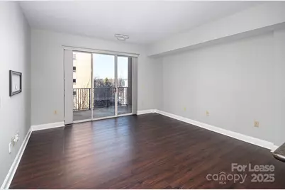 300 W 5th Street #339, Charlotte, NC 28202 - Photo 4