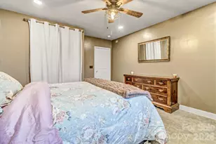 45 Baton Ln, Asheville, NC 28803 - Photo 44