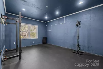 16500 Bryant Meadows Drive, Charlotte, NC 28278 - Photo 20