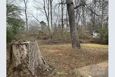 259 Seitz Drive, Forest City, NC 28043 - Photo 20