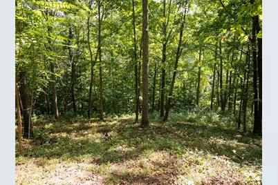 19 Keeping Kyle Crossing, Asheville, NC 28804 - Photo 6