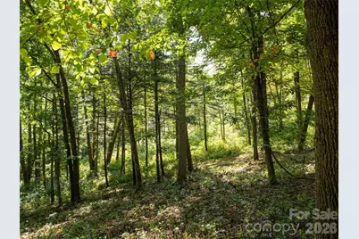 19 Keeping Kyle Crossing, Asheville, NC 28804 - Photo 8