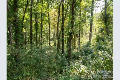 19 Keeping Kyle Crossing, Asheville, NC 28804 - Photo 2