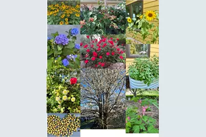 52 East Street, Asheville, NC 28803 - Photo 48