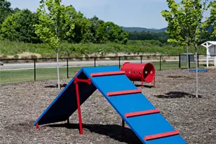 97 Salers Rd, Fletcher, NC 28732 - Photo 28