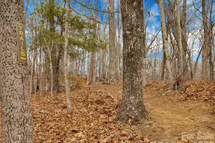 184 Deep Woods Ln, Saluda, NC 28773 - Photo 42