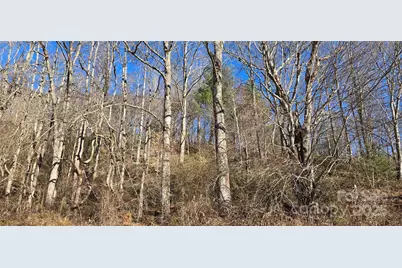 Lot 1 Turtle Rock Lane, Waynesville, NC 28785 - Photo 18