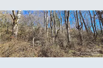 Lot 1 Turtle Rock Lane, Waynesville, NC 28785 - Photo 16