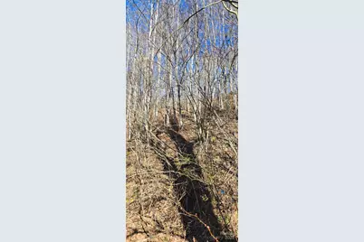 Lot 1 Turtle Rock Lane, Waynesville, NC 28785 - Photo 12