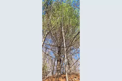 Lot 1 Turtle Rock Lane, Waynesville, NC 28785 - Photo 10