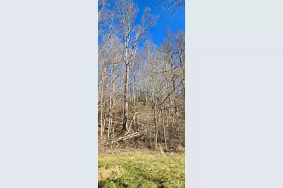 Lot 1 Turtle Rock Lane, Waynesville, NC 28785 - Photo 20