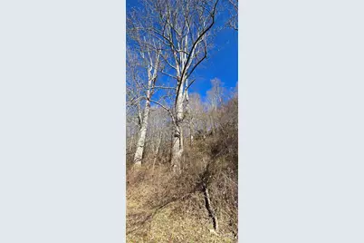 Lot 1 Turtle Rock Lane, Waynesville, NC 28785 - Photo 14