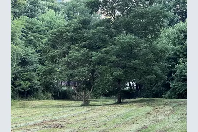 Lot 1 Turtle Rock Lane, Waynesville, NC 28785 - Photo 2