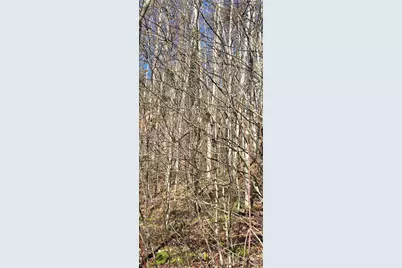 Lot 1 Turtle Rock Lane, Waynesville, NC 28785 - Photo 24